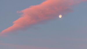 Fases de la luna