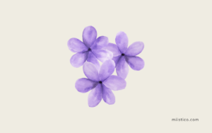Ritual para el Equinoccio de primavera