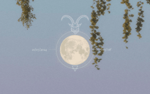 Luna Llena en Capricornio