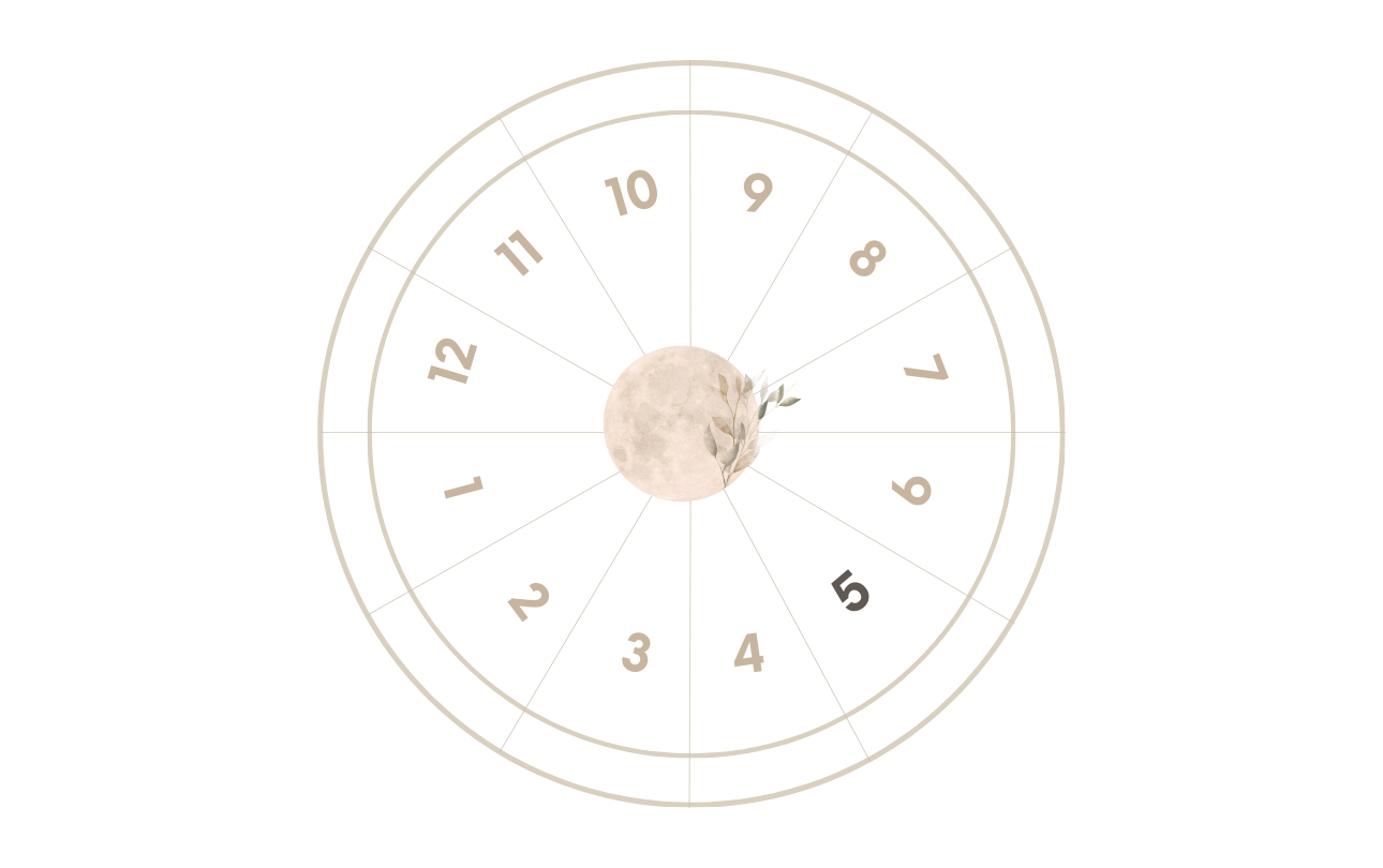 La Casa 5 en astrología - Miistico