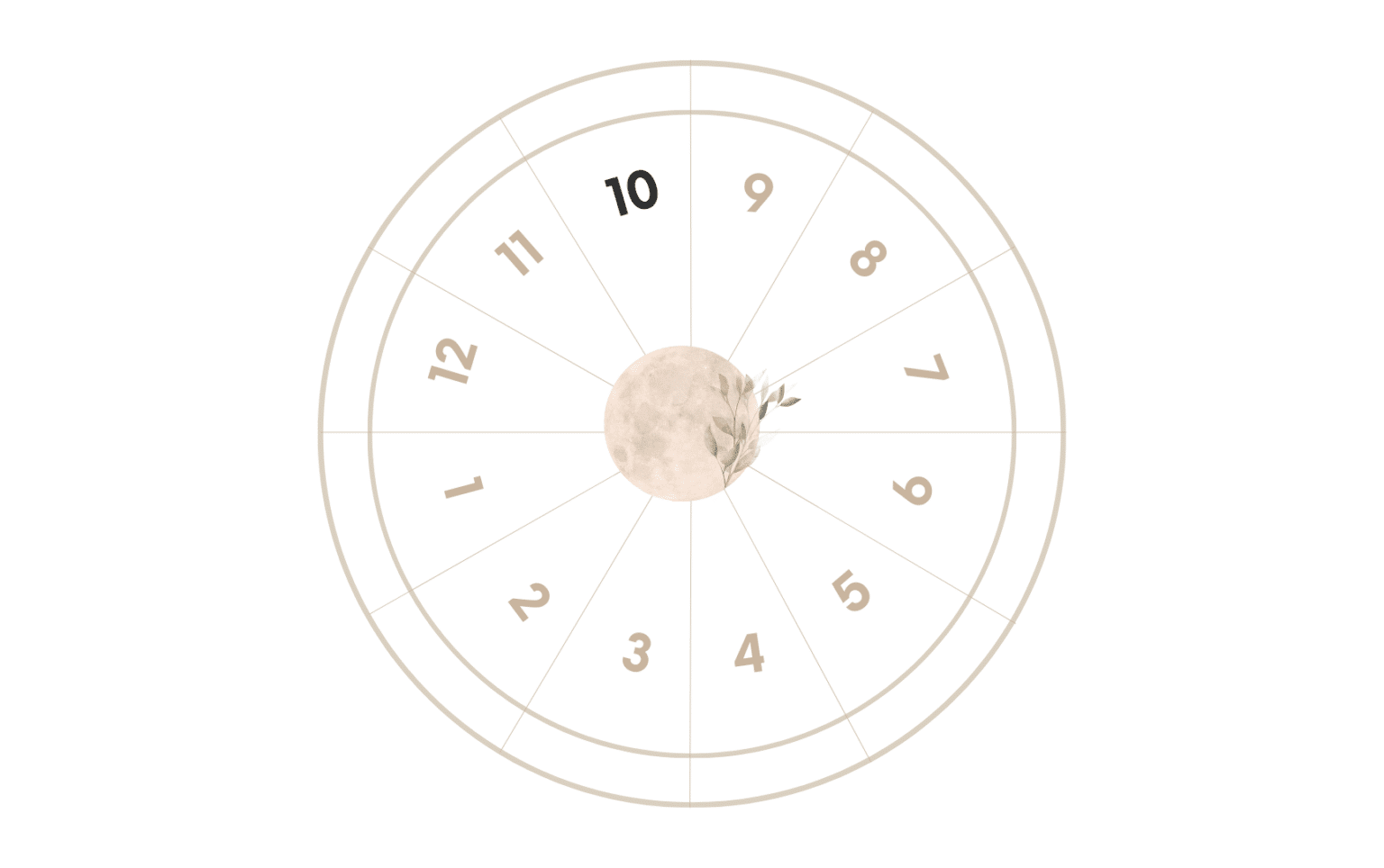 La Casa 10 en astrología - Miistico