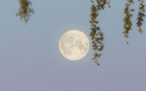 Luna llena en escorpio 2025