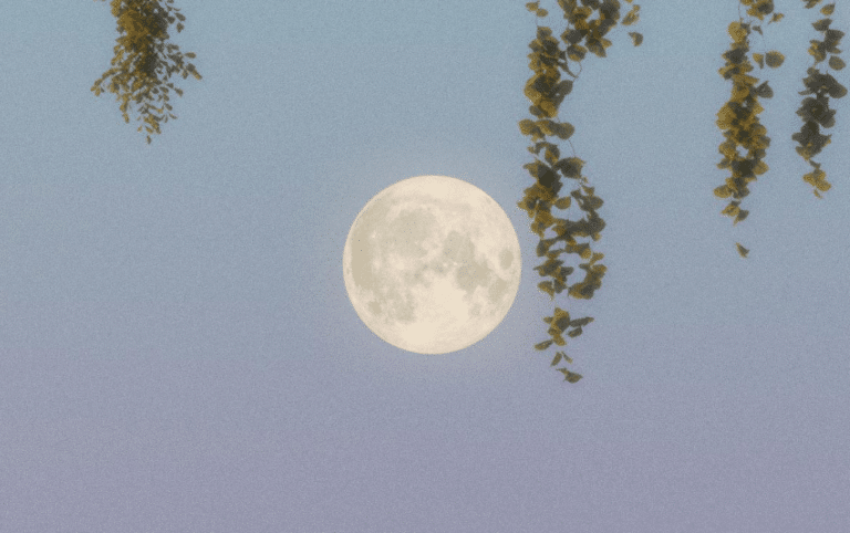 Luna llena en escorpio 2025
