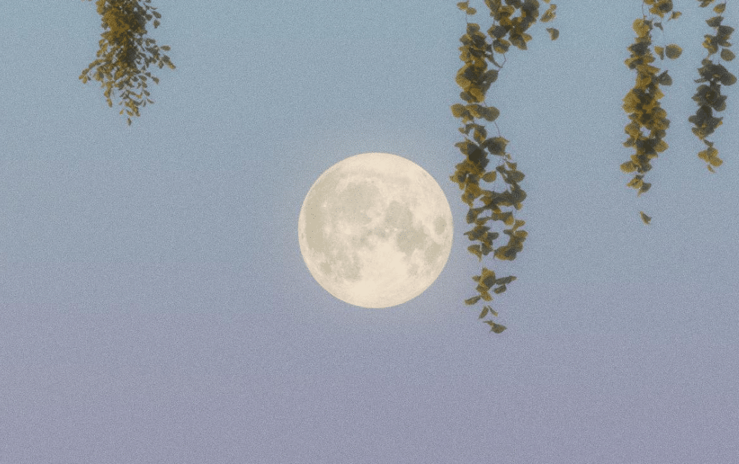 Luna llena en escorpio 2025