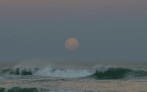 Luna Llena en Sagitario-min