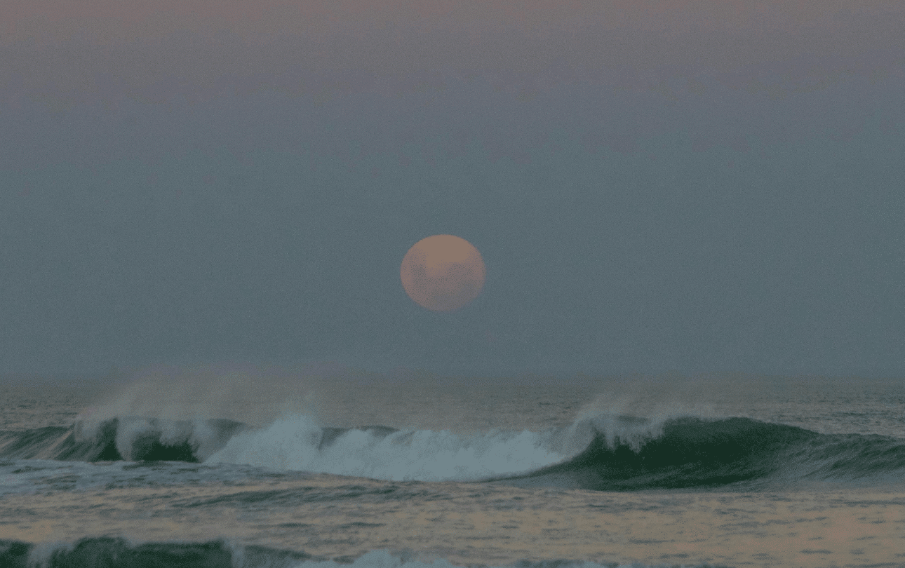 Luna Llena en Sagitario-min