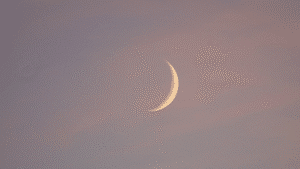 Luna Nueva en Piscis 🌙 cerrar, sentir y rendirse a lo nuevo