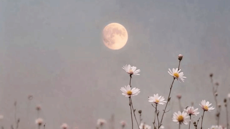 Luna llena